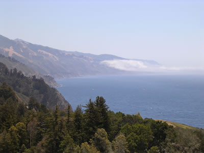 Fog Moving In